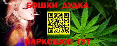 индика Бийск