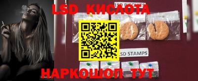 крисы Беслан
