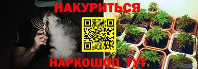 крисы Беслан