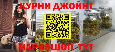 индика Бийск