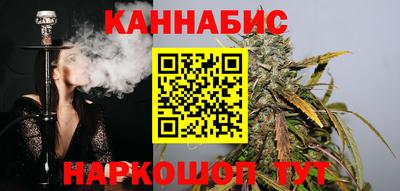 индика Бийск