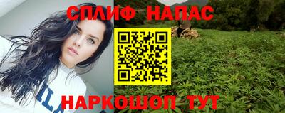 индика Бийск
