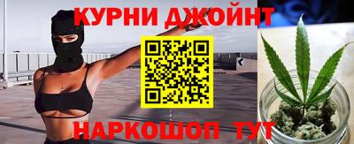 крисы Беслан