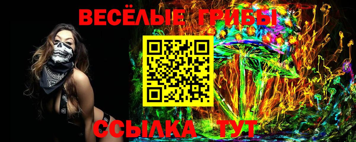 Кольчугино  Галлюциногенные грибы ЛСД  Вход с VPN 