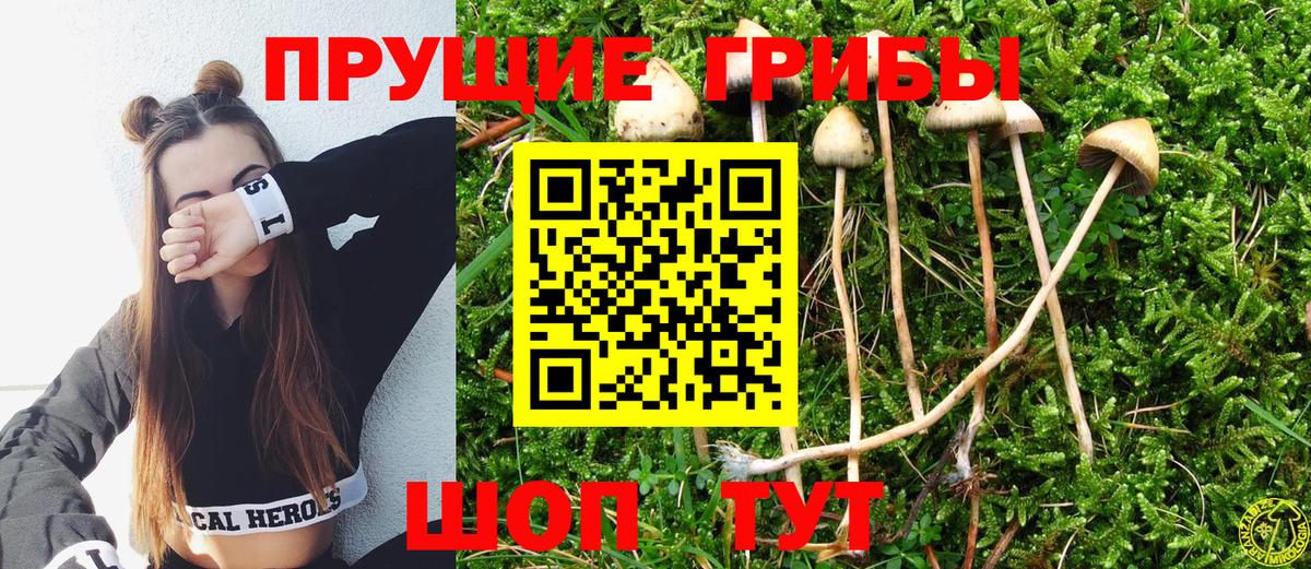 Галлюциногенные грибы GOLDEN TEACHER Кольчугино
